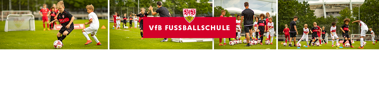 PDF Header 1240 325 px NEU