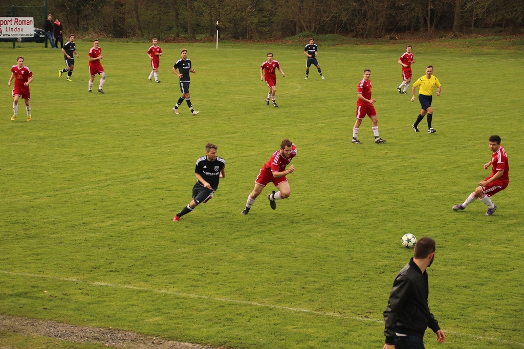 17760965 1296397903730581 4920361674841675408 o