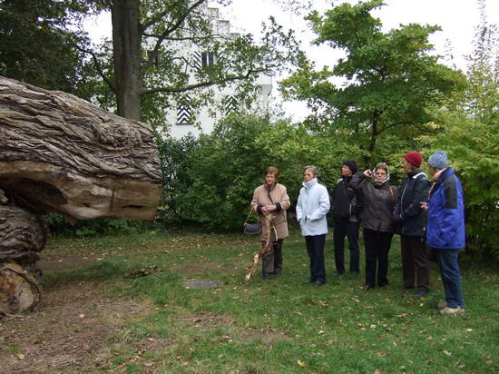 Frauengruppe Schongymnastik in Wasserburg