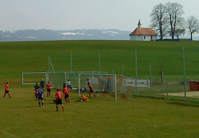 Lattentreffer von Hermann