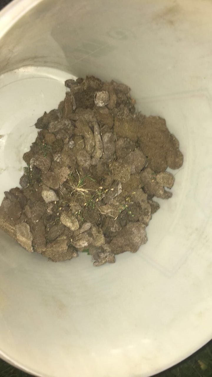 Hinterlassenschaften im Beachvolleyballfeld