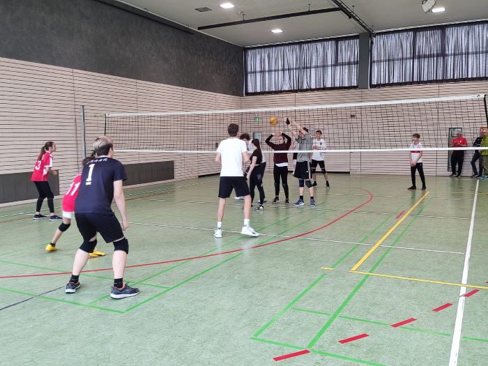 IMG 20250202 WA00031