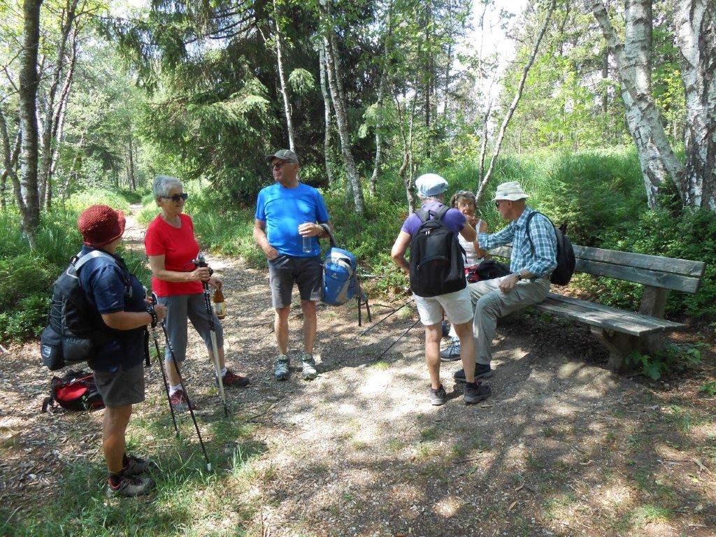 Badsee Urseen 5.6.18